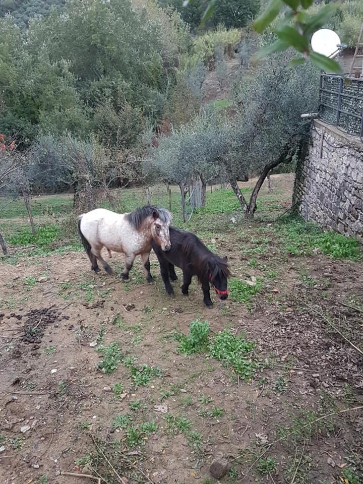Tenuta Martino Aquara Buitenkant foto