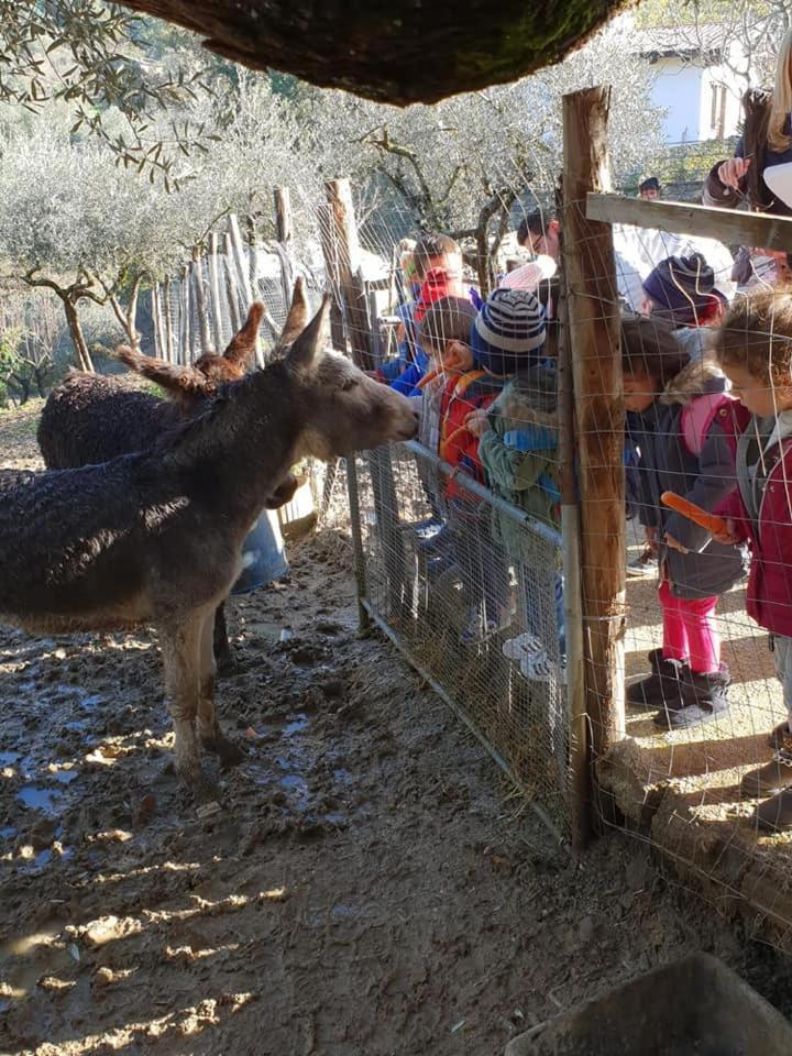 Tenuta Martino Aquara Buitenkant foto